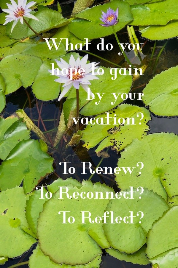 alt="Inspirational Travel: Is it What You Need to Give Yourself? photo of water lilies."
