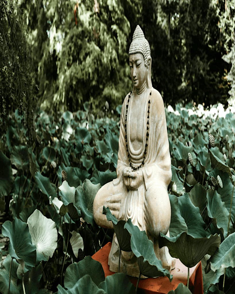 alt="Buddha in meditation"