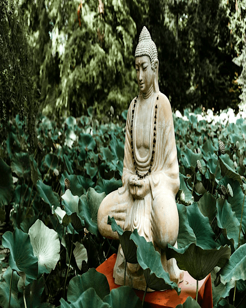 alt="Buddha in meditation"